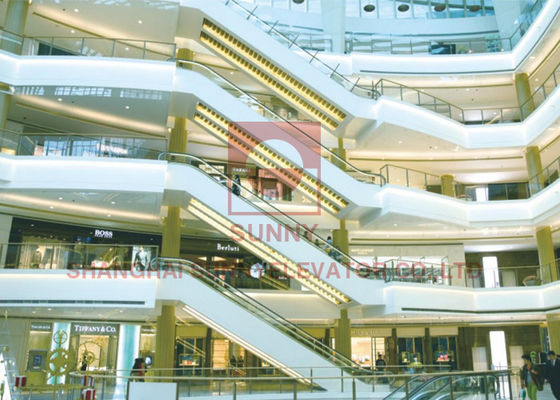 高力1000mmのステップ幅の1000kw容量の大きい屋内エスカレーター