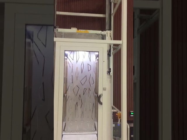 自動救助装置が付いている0.4m/S Pitlessの住宅の縦のエレベーター