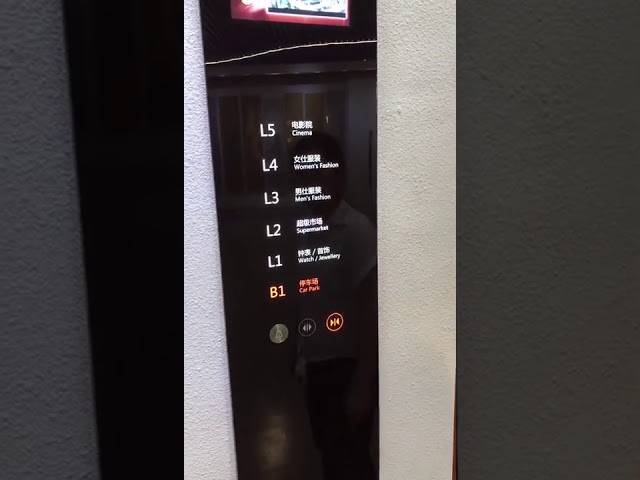 4.0m/S速度2000kgの観光の住宅の乗客のエレベーター